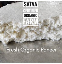 *Paneer - Plain  (200gms, satva)